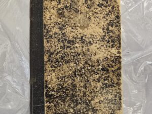 1883 — Den Kostelige Perle — First Edition Pearl of Great Price in Danish