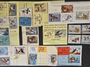 25 Duck Hunting Stamps — [From Someone in the State of South Dakota]