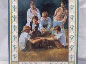 Doctrine and Covenants Stories – The Church of Jesus Christ of Latter-Day Saints – Paperback – 1983