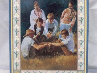 Doctrine and Covenants Stories – The Church of Jesus Christ of Latter-Day Saints – Paperback – 1983