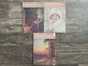 3 Issues of The Juvenile Instructor for the Year of 1924 (See Details)