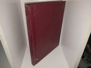 Mae Matis (A Friend’s-Eye View of You) (Unknown Publishing Date) ~ by Elta T. Jackson