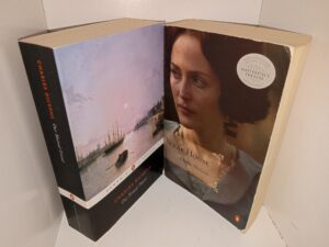 2 Classic Novels by Charles Dickens: Our Mutual Friend / Bleak House (See Details)