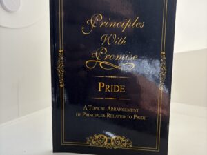 Principles with Promise: Pride (2011) by Vinny DiGirolamo