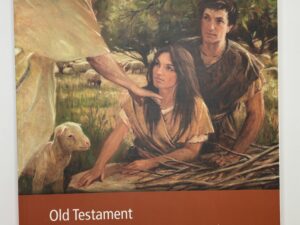 The Old Testament Study Guide for Home Study Seminary Students (2015)