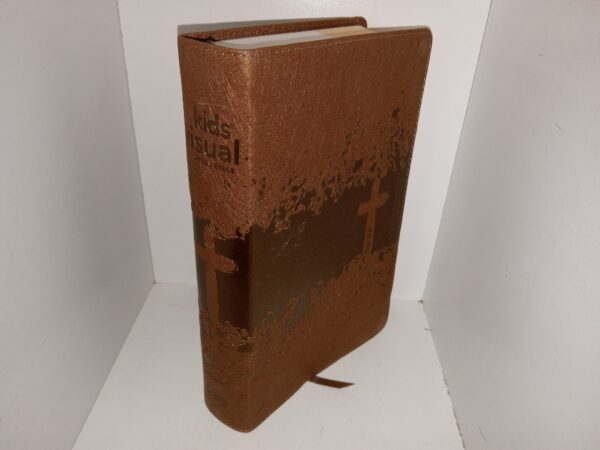 Kids’ Visual Study Bible (NIV) (2017)