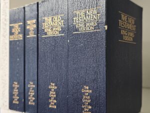 Small set of LDS Scriptures: Holy Bible in 2 Vols, Book of Mormon, Doctrine and Covenants/Pearl of Great Price