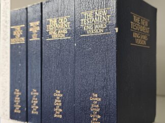 Small set of LDS Scriptures: Holy Bible in 2 Vols, Book of Mormon, Doctrine and Covenants/Pearl of Great Price