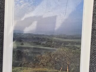 Light From the Dust: A Photographic Exploration into the Ancient World of the Book of Mormon — Scot and Maurine Proctor — Softcover