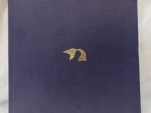 I Am a Mermaid – Alice Rosati – Hardcover – 2019