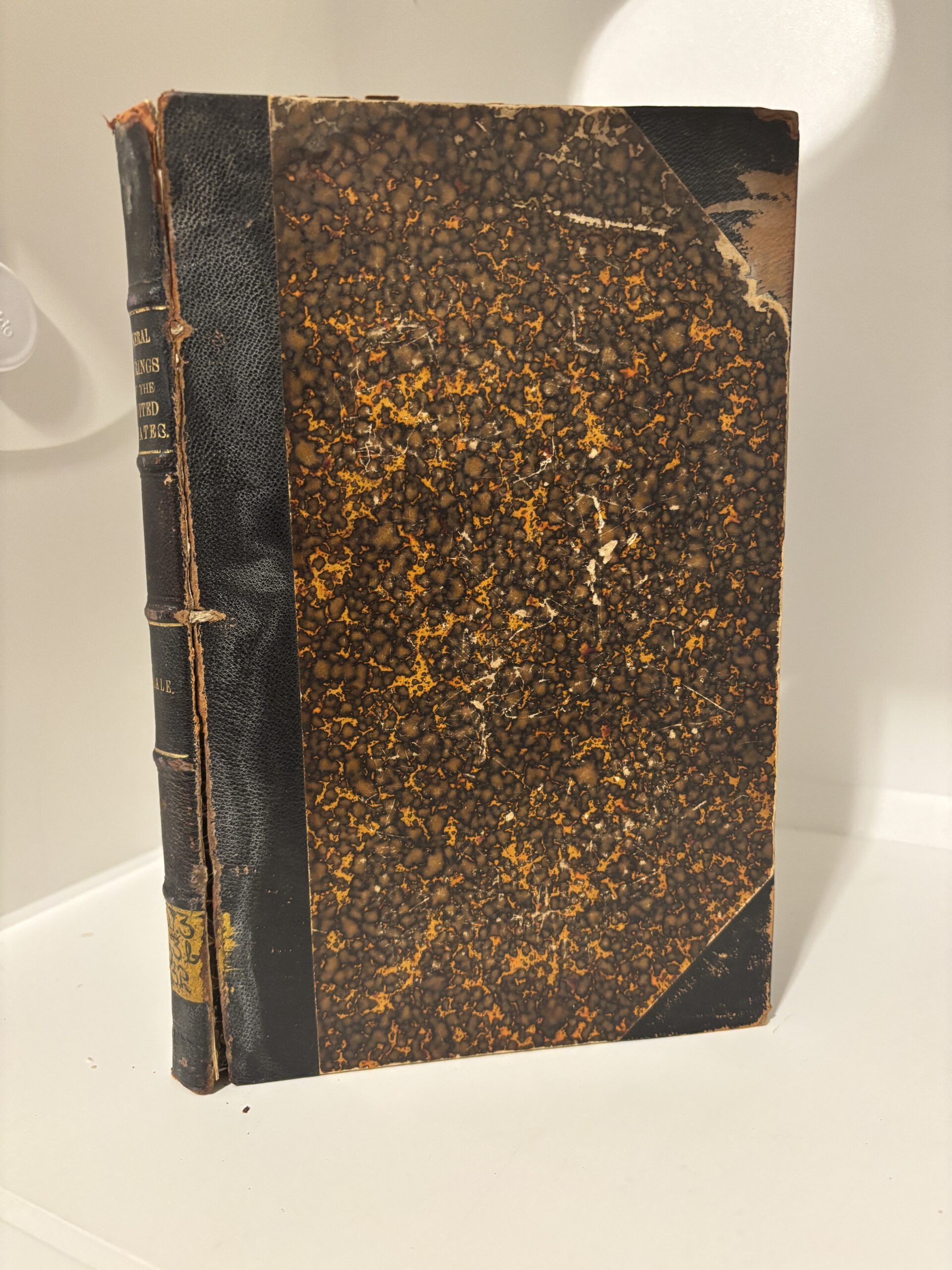 Mineral Springs of the United States (1886) by Albert C. Peale