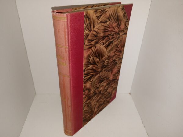 Nordstjärnan: 1900 (Swedish: The North Star: 1900) (1900)
