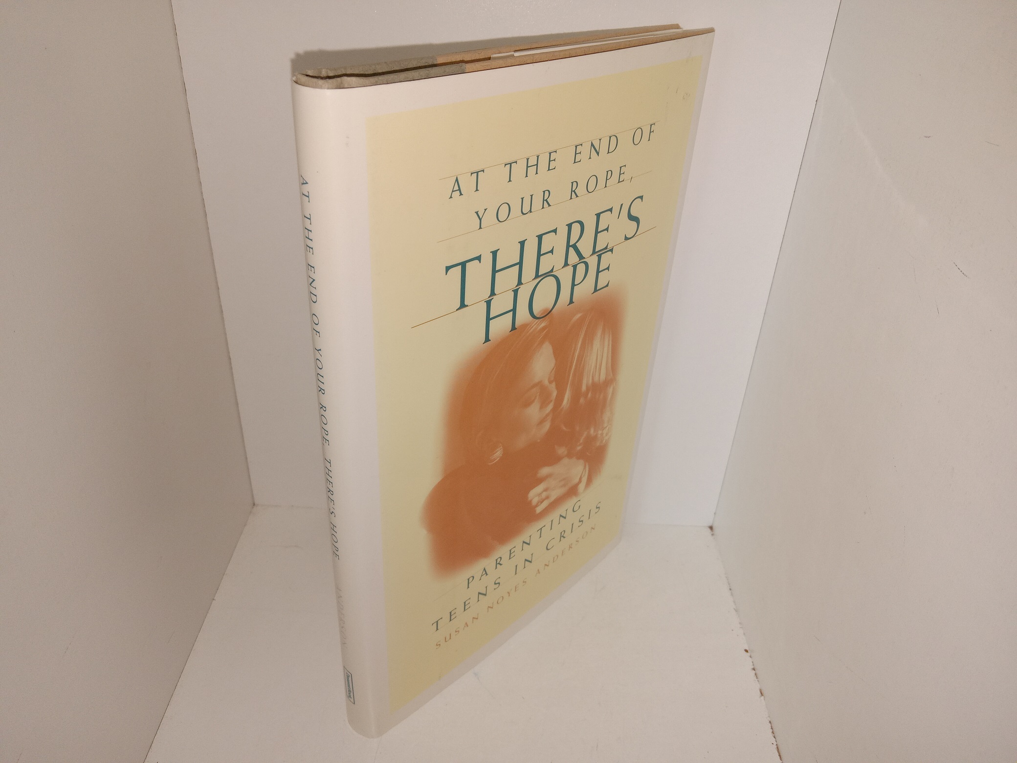 At the End of Your Rope, There’s Hope: Parenting Teens in Crisis (1997) ~ by Susan Noyes Anderson