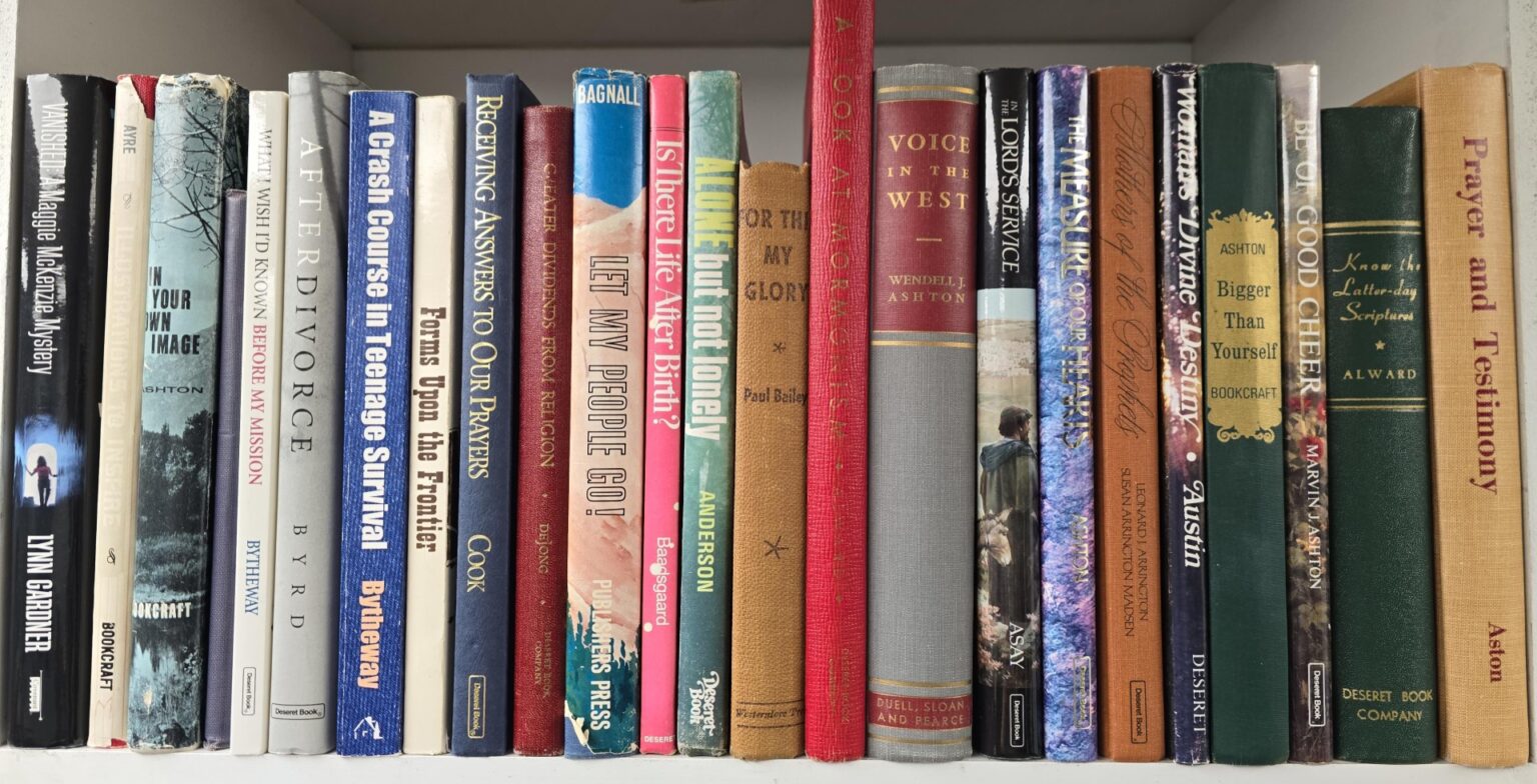 EBORN BOOKS WAREHOUSE CLEANING SALE — 24 LDS Books to Choose From @ $1. ...