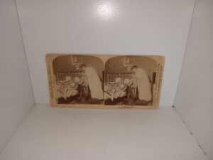 Stereoview Photograph titled “Robbing the Male” (1896)