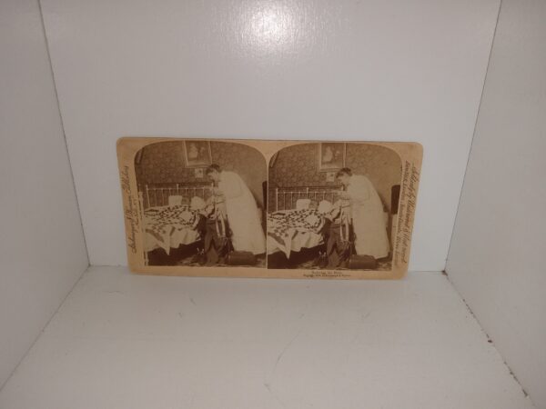 Stereoview Photograph titled "Robbing the Male" (1896)