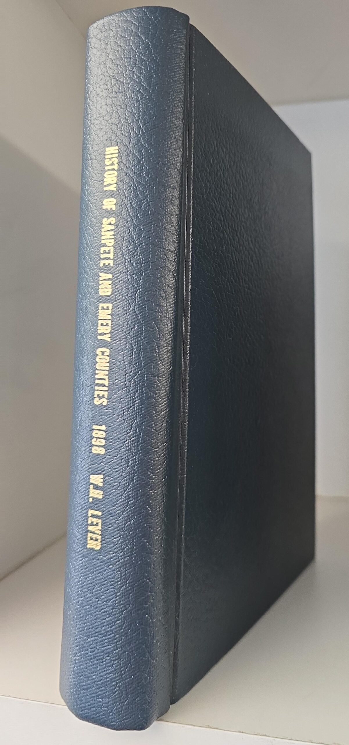 1898 — History of Sanpete and Emery Counties, Utah, With Sketches of Cities, Towns, … — Rebound