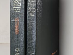 Holy Bible & Triple Combination — LDS Scriptures — Green Vinyl Bindings