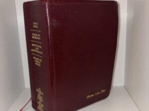 Named Quadruple Combination (Brysie Lynn Stice)- Holy Bible, Book of Mormon, Doctrine and Covenants, and Pearl of Great Price – 1992