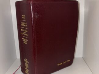 Named Quadruple Combination (Brysie Lynn Stice)- Holy Bible, Book of Mormon, Doctrine and Covenants, and Pearl of Great Price - 1992