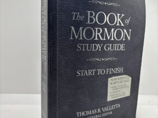 The Book of Mormon Study Guide Start to Finish (2015)