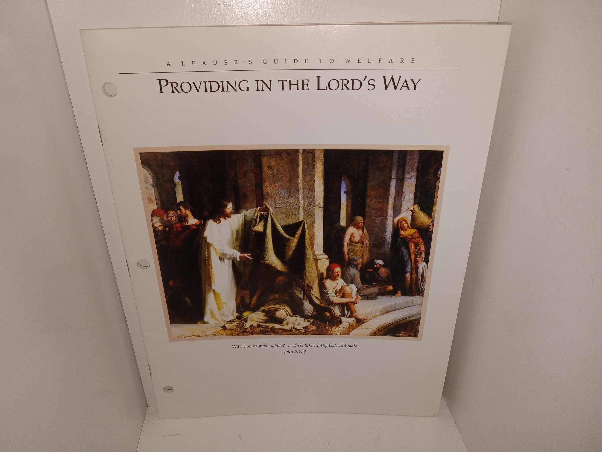 Providing in the Lord’s Way: A Leader’s Guide to Welfare (1990) ~ Unknown Author
