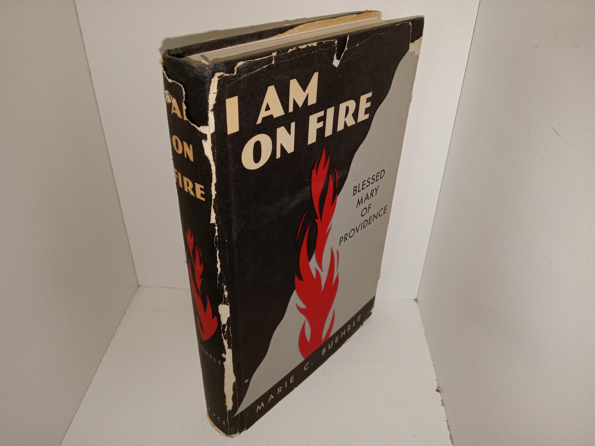 I Am On Fire: Blessed Mary of Providence (1963) ~ by Marie C. Buehrle
