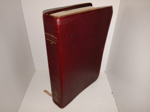 Santa Biblia: Reina-Valera 2009 (Spanish: Holy Bible: Reina-Valera 2009) (Leather) (2009)
