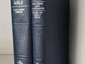 2000 & 2001 — Holy Bible / Triple Combination — Matching Blue Vinyl