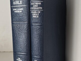 2000 & 2001 --- Holy Bible / Triple Combination --- Matching Blue Vinyl