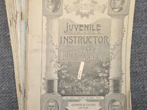 22 of 24 Issues — The Juvenile Instructor — 1892 — 22 Single Issues