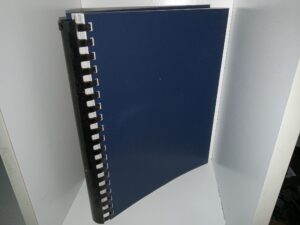 Voting Behavior and Voting Patterns in Salt Lake City from 1940 to 1960 (1961) ~ by Dan E. Jones