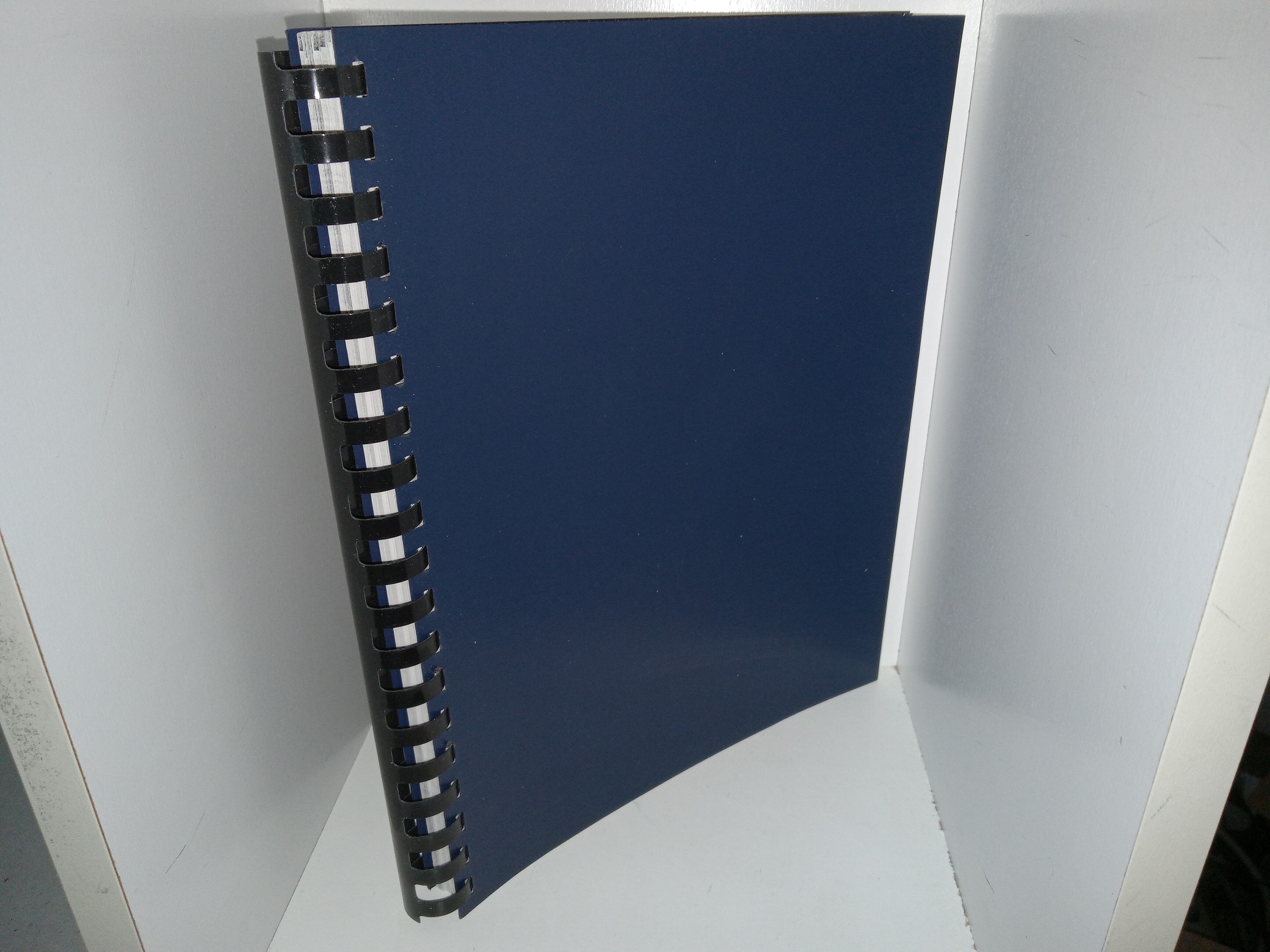 The Salt lake City Basque Community: Atypical in the American West (1972) ~ by Louise Brown Dunn