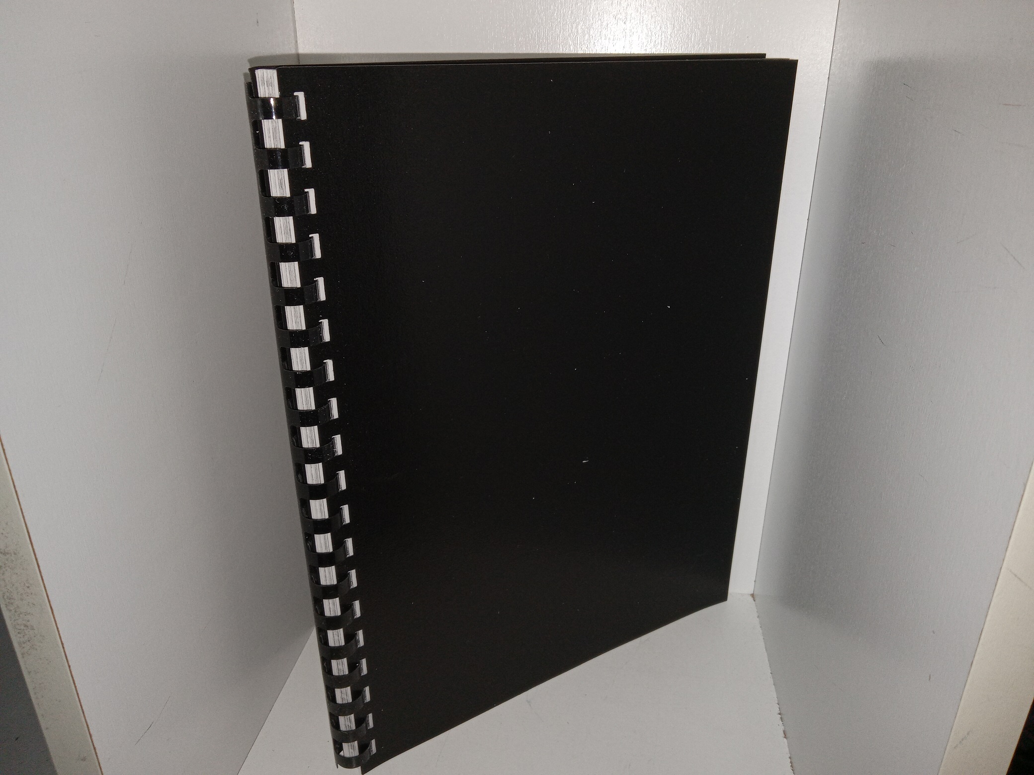 The Geography of Polynesians in Utah (1997) ~ by Adam M. Frazier