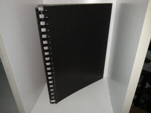 The Development of Higher Education in Colonial Times (1915) ~ by Helen Sheean Sanford