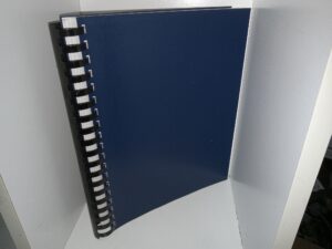 A Historical Approach to the Urban Geography of Brigham City, Utah (1950) ~ by Charles Chesnutwood