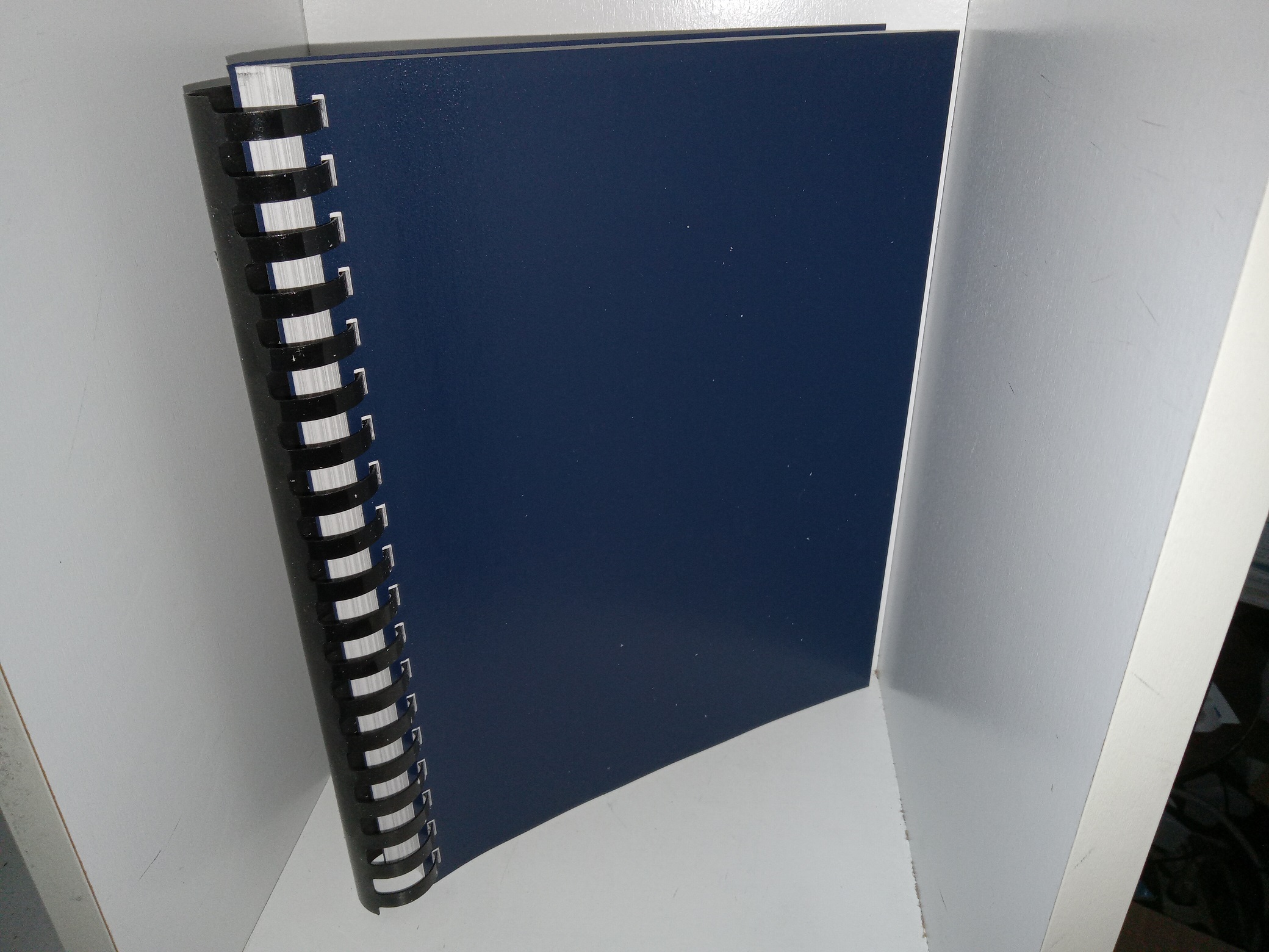 A Historical Approach to the Urban Geography of Brigham City, Utah (1950) ~ by Charles Chesnutwood