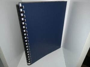 Pioneer Life of Utah as Reflected in the Writings of Edward Stevenson (1952) ~ by Emily S. McDonald Carlisle