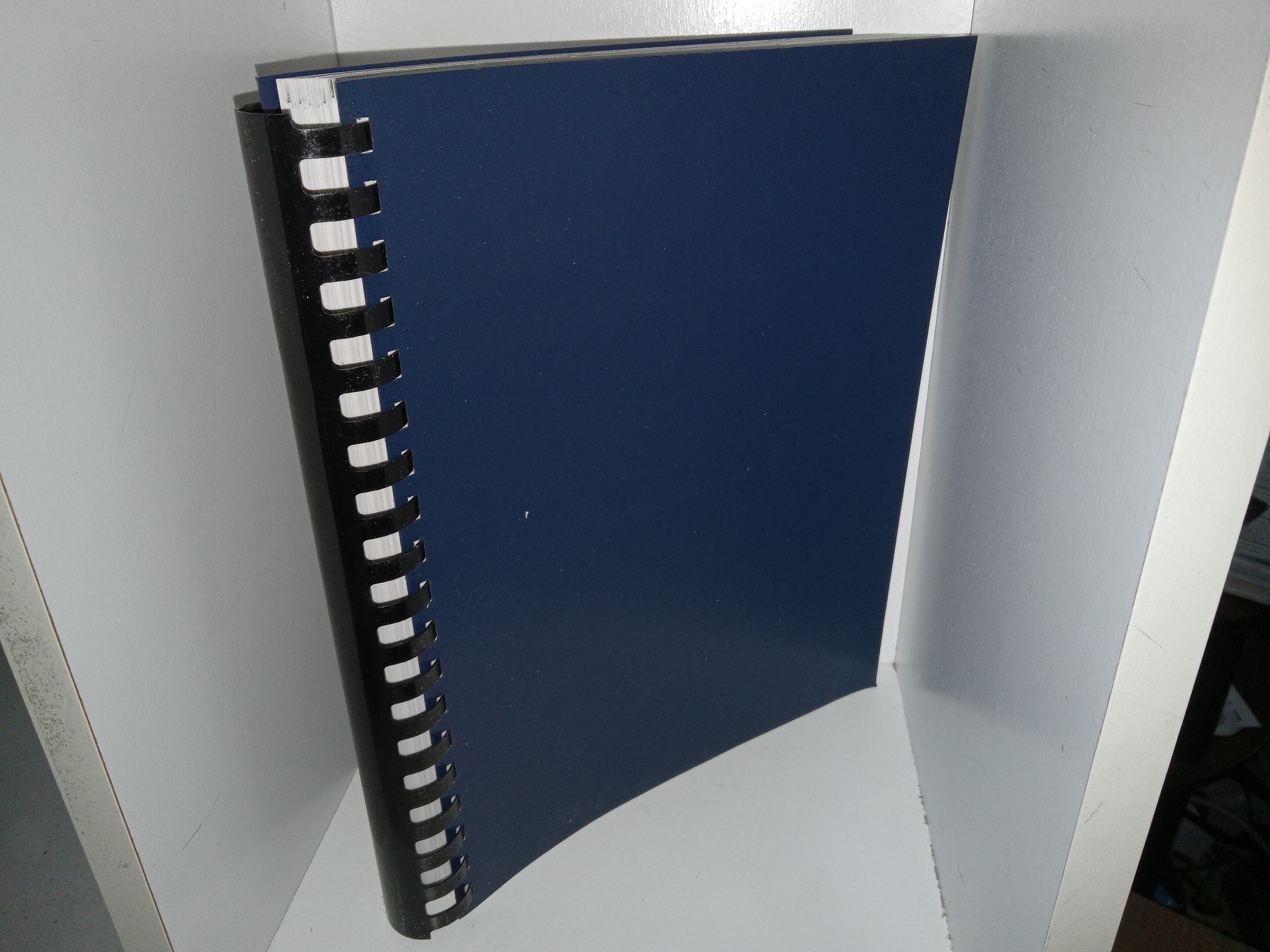 Early Mining in Southwestern Utah and Southeastern Nevada, 1864-1873: The Meadow Valley, Pahranagat, and Pioche Mining Rushes (1973) ~ by John Michael Bourne