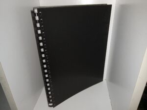 W. E. B. Du Bois and The Crisis: Criticism and Commentary on the Condition of the Negro in the United States, 1910-1920 (1973) ~ by Helen Sanford Lindsay