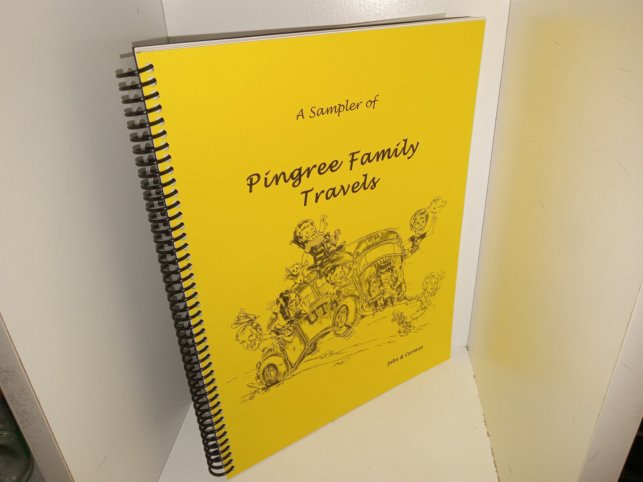 A Sampler of Pingree Family Travels (2018) ~ by John & Carmen