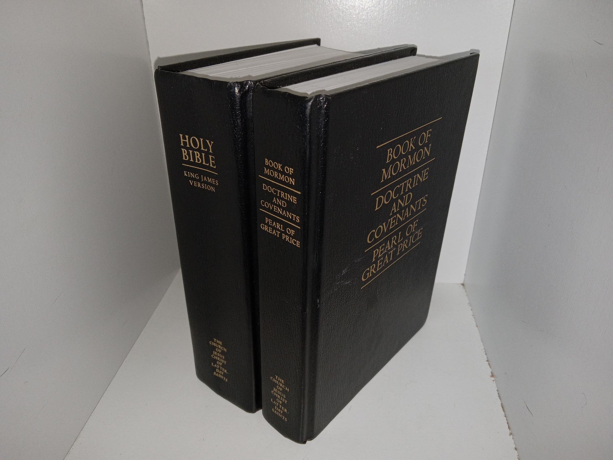 2 LDS Books: Holy Bible: King James Version / Book of Mormon/Doctrine and Covenants/Pearl of Great Price