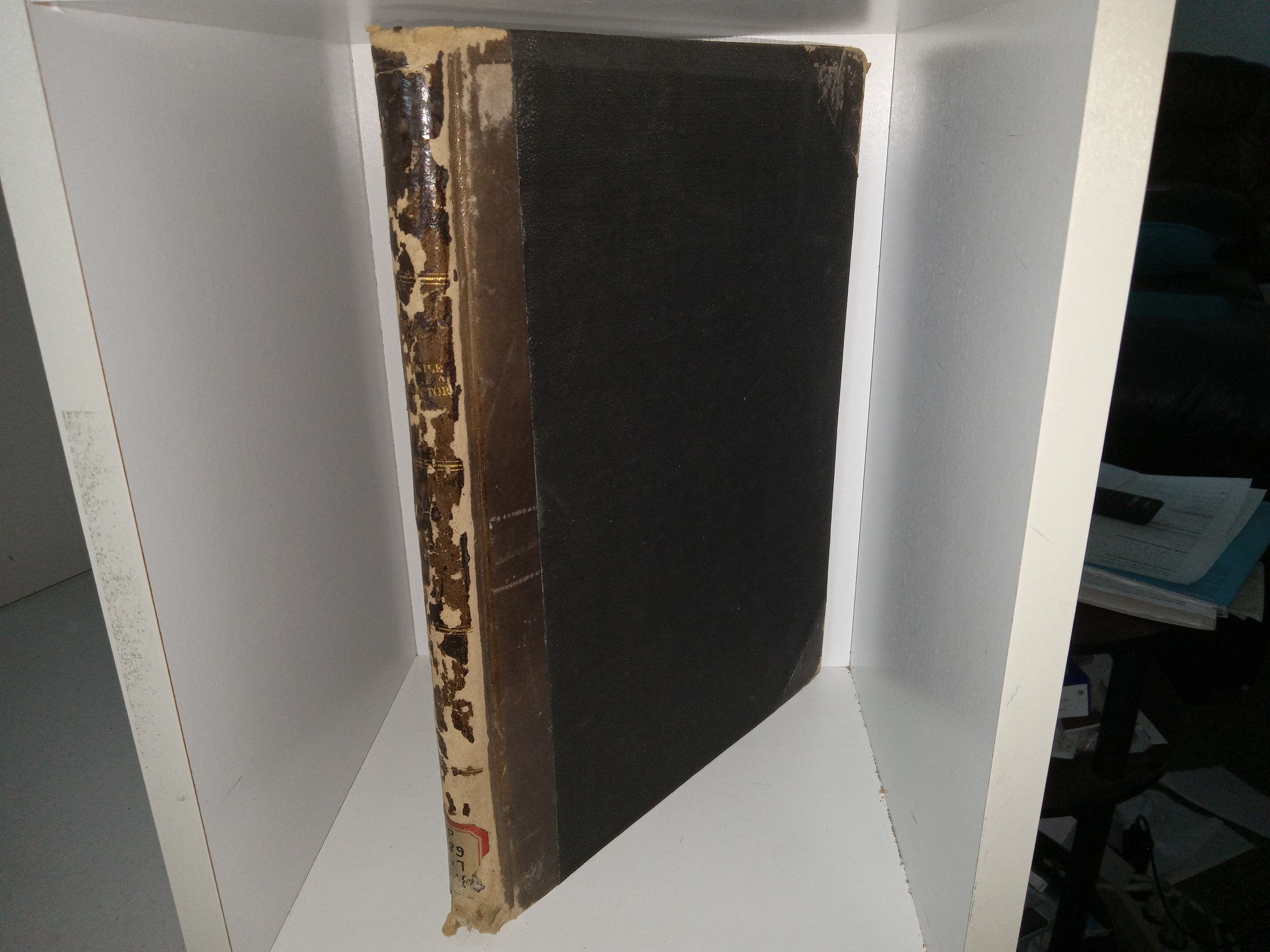 The Juvenile Instructor: An Illustrated Magezine: Vol. 16 (3/4 Leather) (1881)