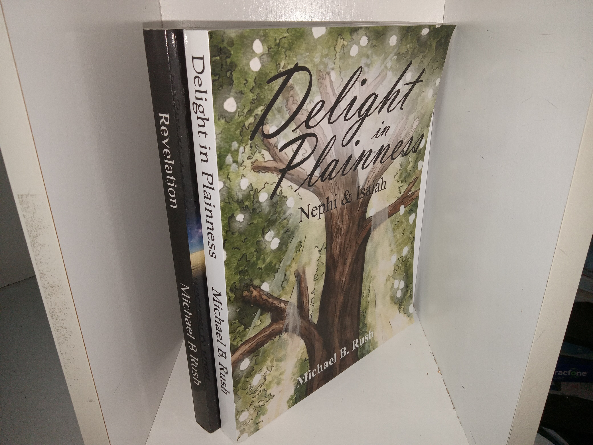 2 LDS Books: Revelation: The Vision of John the Divine / Delight in Plainness: Nephi & Isaiah