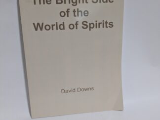 The Bright Side of the World of Spirits – David Downs – Paperback – Signed – 2011