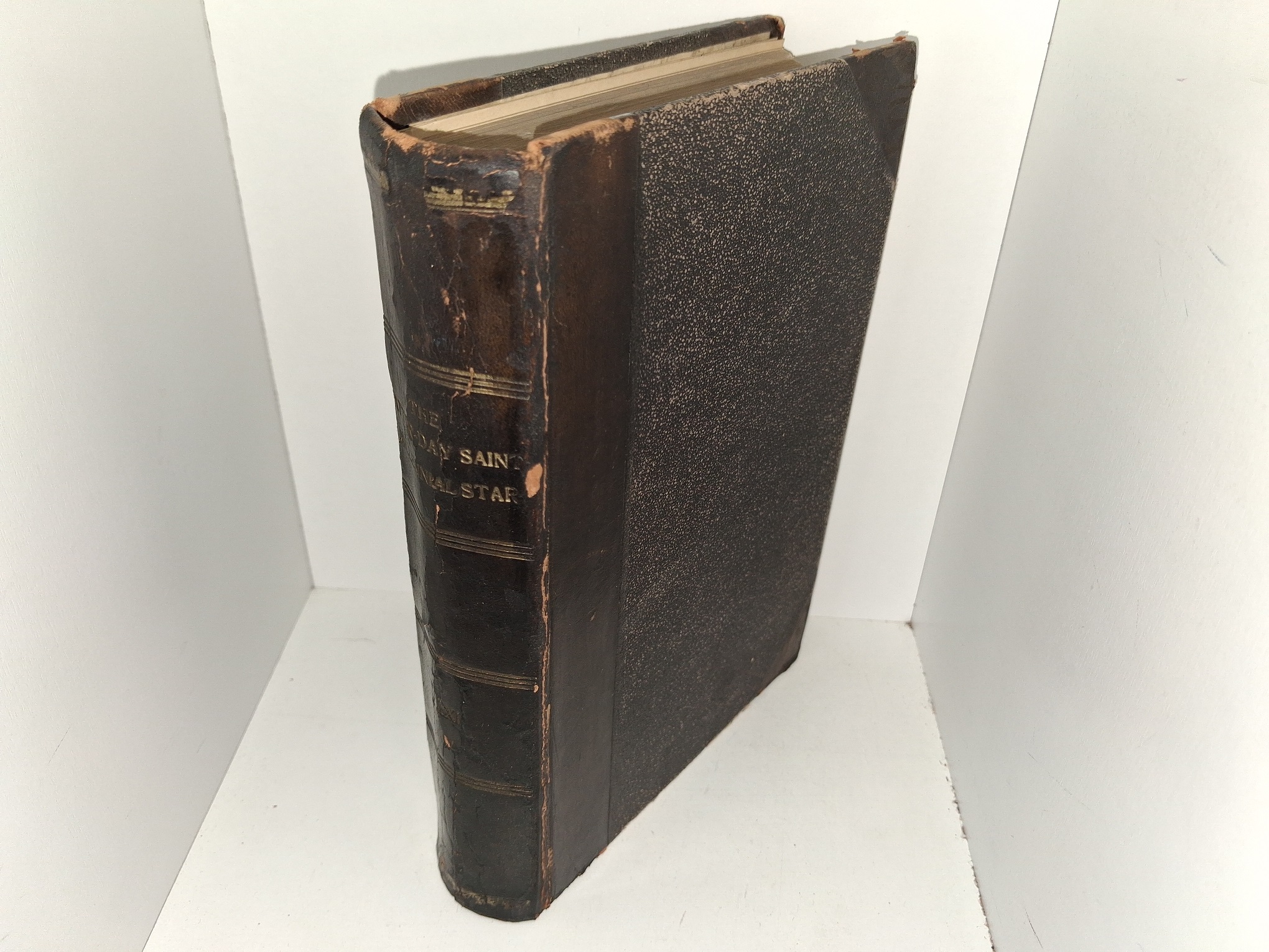 The Latter-day Saint Millennial Star: Vol. 61 (3/4 Leather) (1899)