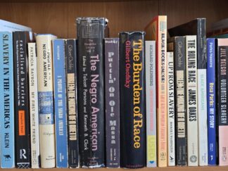 29 Books on Black Studies / African Americans