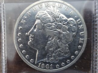 1901-O Morgan Silver Dollar / with Error