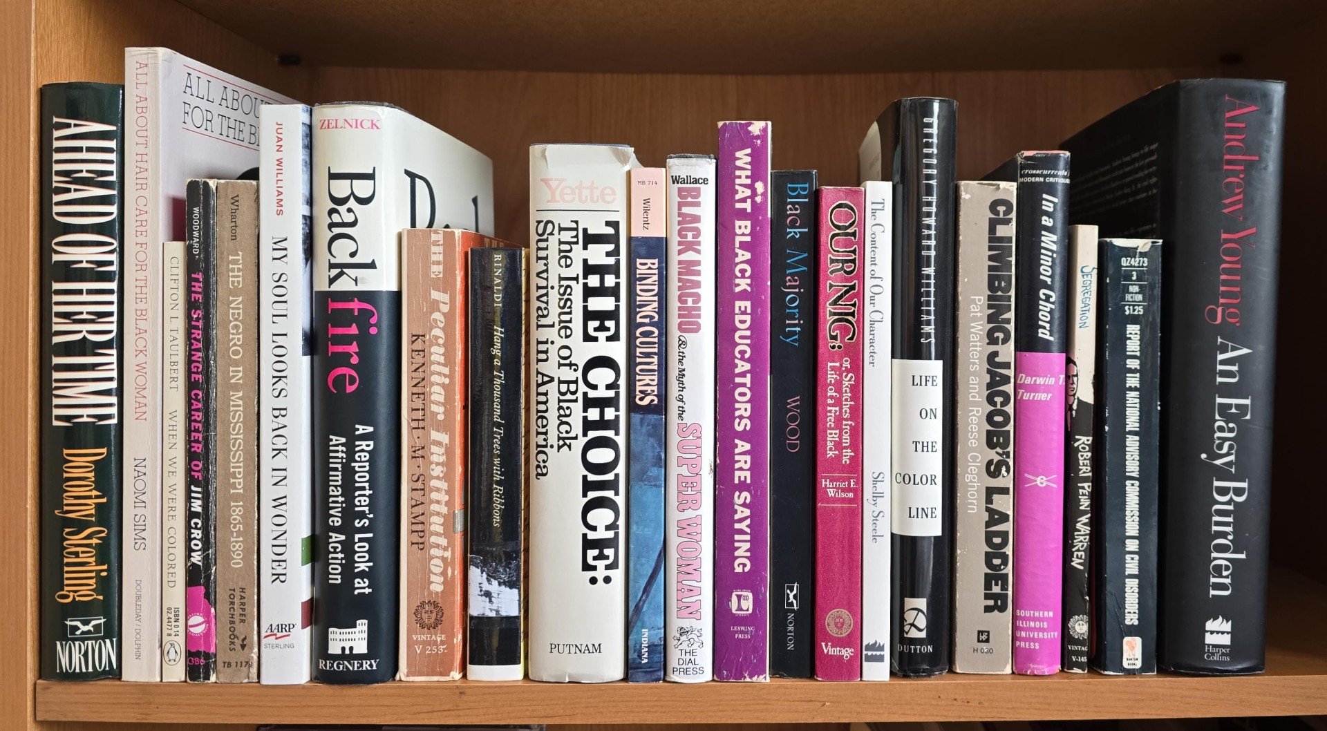 22 Books on Black Studies — African Americans