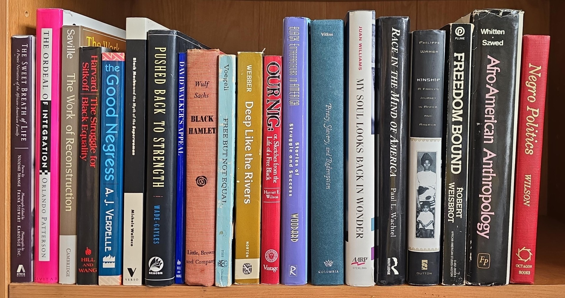 20 Books on Black Studies — African Americans